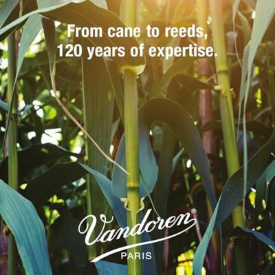 Vandoren Juno JSR6135 Saxophone Alto 3.5 rieten voor altsaxofoon (10 stuks)