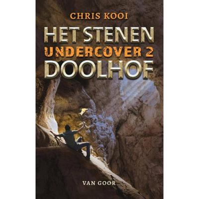 Het stenen doolhof (Hardback)
