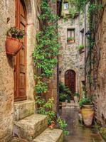 Steeg potten 50x70cm Tuinschilderij Customize-it - Customize it - thumbnail