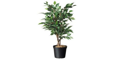 Plantcontainer 3l 4 stuks - Zwart Plantcontainer 3l 4 stuks - Zwart