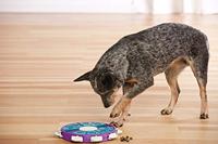 Nina Ottosson dog twister paars / blauw - thumbnail