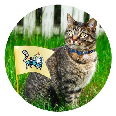 Pawise Cat Collar With Bowknot Rood