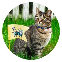 Pawise Cat Collar With Bowknot Rood - thumbnail