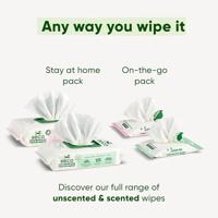 Beco Bamboo Dog Wipes hypoallergene doekjes hond (80 stuks) 5 x Geurloos - thumbnail