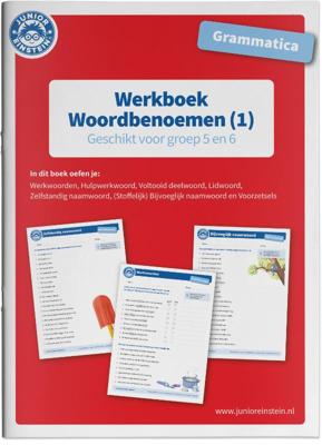 Grammatica Woordbenoemen (1) (Paperback) Grammatica Woordbenoemen (1) (Paperback)