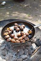 Kastanjepan - Esschert Design - thumbnail