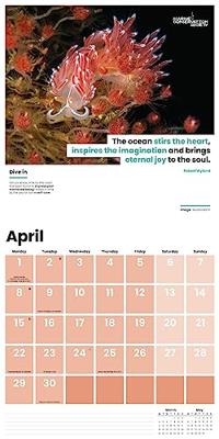 Sea Change Kalender 2024