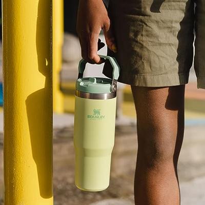 STANLEY - The Iceflow - Flip Straw tumbler 0,89l Guava - thumbnail