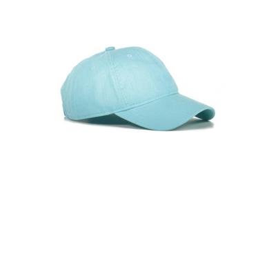 LERROS pet blauw LERROS pet blauw