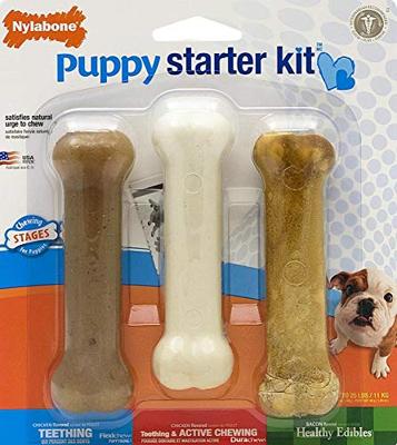Nylabone puppy chew puppy starter kit chicken - thumbnail