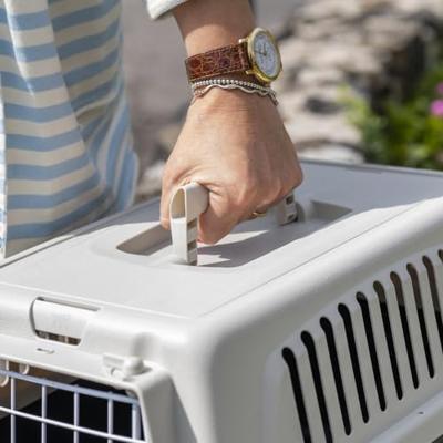 FERPLAST Atlas 5 - reismand voor kleine dieren - grijs