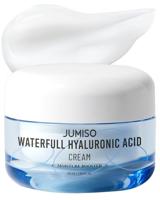 Jumiso Waterfull Hyaluronic Cream 50 ml - thumbnail