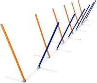 Agility Oefen slalom - thumbnail