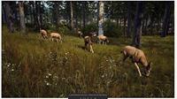 Way of the Hunter - thumbnail