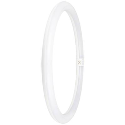OSRAM HOMELIGHTING LED-buis-Ring Energielabel: E (A - G) G10q 24 W = 40 W Neutraalwit 1 stuk(s) (Ø x l) 400 mm x 400 mm