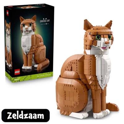 LEGO Ideas oranje kat 21376