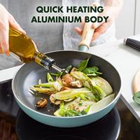 Mayflower Wokpan - thumbnail