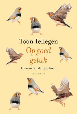 Op goed geluk - Toon Tellegen - eBook (9789021455273)