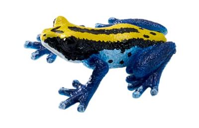 Mojo wildlife pijlgifkikker blauw - 381069 - thumbnail