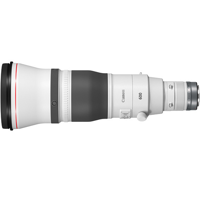 Canon RF 600mm F/4L IS USM - thumbnail