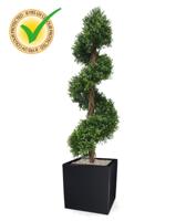 Buxus deluxe spiraal kunstplant 170cm - UV bestendig - thumbnail