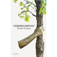 Verdwijnpunt (Paperback) - thumbnail