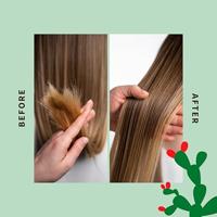 Shaeri Multi-Use Oil 100ml - thumbnail