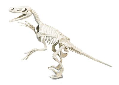 Clementoni wetenschap & spel archeospel velociraptor