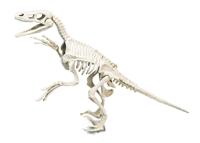 Clementoni wetenschap & spel archeospel velociraptor - thumbnail
