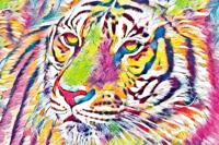 Schilderij - Tijger Illustratie, Multikleur, Sierraad voor aan de muur, Premium Print - thumbnail