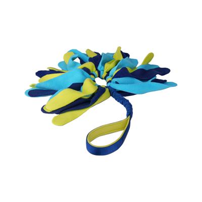 Training toy Coachi TUGGI SPIDER Blauw