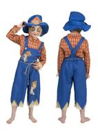 Vogelverschrikker pak kind - thumbnail