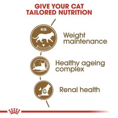 Royal Canin Senior Ageing Sterilised 12+ droogvoer voor kat 4 kg Maïs, Gevogelte, Groente Royal Canin Senior Ageing Sterilised 12+ droogvoer voor kat 4 kg Maïs, Gevogelte, Groente