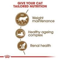 Royal Canin Senior Ageing Sterilised 12+ droogvoer voor kat 4 kg Maïs, Gevogelte, Groente - thumbnail