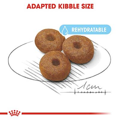 Royal Canin Maxi Starter Mother and Babydog 15 kg - thumbnail