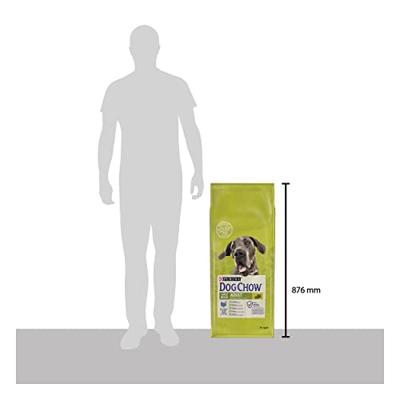 Purina DOG CHOW Large Breed Adult 14 kg Volwassen Turkije