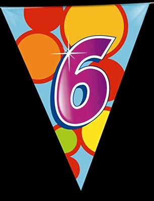 Haza Witbaard Vlaggenlijn 6 jaar, 10mtr.