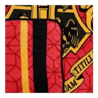 Harry Potter fleeceplaid Hogwarts rood 120x150cm - thumbnail