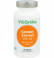 Gember extract 500 mg - thumbnail