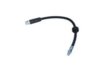 Remslang 520455 - thumbnail