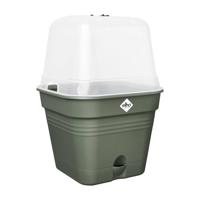 Elho green basics growpot square all-in-1 leaf green 15 - thumbnail