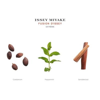Issey Miyake Fusion D'Issey Extrême Eau de Toilette 100ml Issey Miyake Fusion D'Issey Extrême Eau de Toilette 100ml