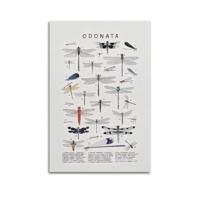 Samsung Galaxy A36 5G Smartphone 128 GB 17 cm (6.7 inch) Energielabel C (A - G) Zwart Android 15 Dual-SIM - thumbnail