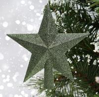 Piek plc ster l4.2b19h19 cm d.groen kerst Decoris - Decoris - thumbnail