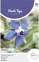 Zaden Komkommerkruid (Borage) Hortitops - Hortitops - thumbnail