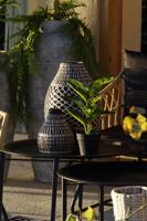 Decoratieve plant DKD Home Decor PVC Polypropyleen 25 x 25 x 30 cm - thumbnail