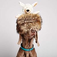 Knuffel voor honden Gloria Kondoo Wit Polyester Polypropyleen Schaap - thumbnail