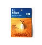 Edelsteen Hanger Sterrenbeeld Waterman - Chalcedoon - thumbnail