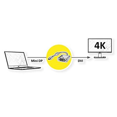 ROLINE GOLD 4K Mini DisplayPort/DVI Adapter, Actief, v1.2, Mini DP Male - DVI Female