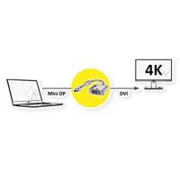 ROLINE GOLD 4K Mini DisplayPort/DVI Adapter, Actief, v1.2, Mini DP Male - DVI Female - thumbnail